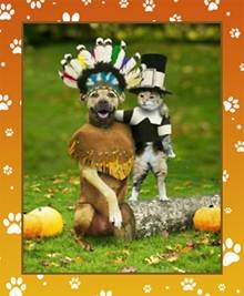 thanksgiving-pets-2