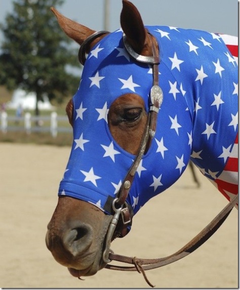 Patriotic Horse
